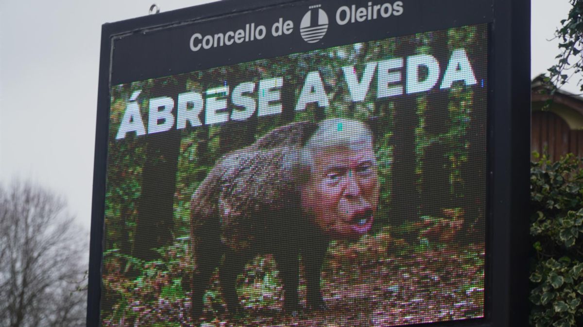 'Se abre la veda': el concello coruñés de Oleiros anima a cazar al jabalí Trump, "el terrorista más grande del mundo"