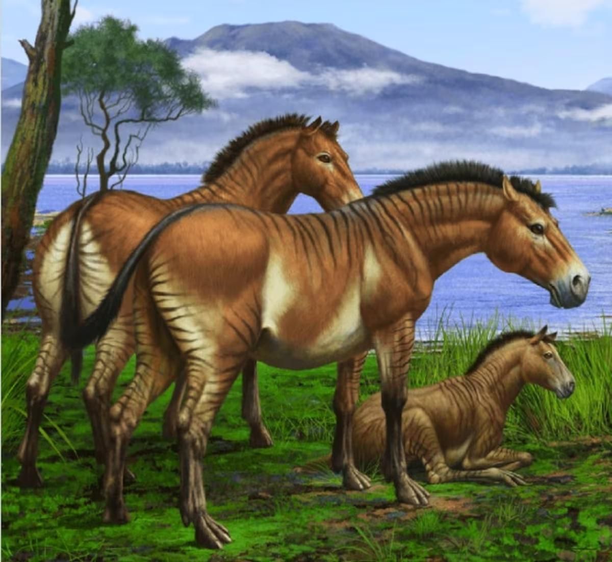 Recreación artística de los prehistóricos hipariones