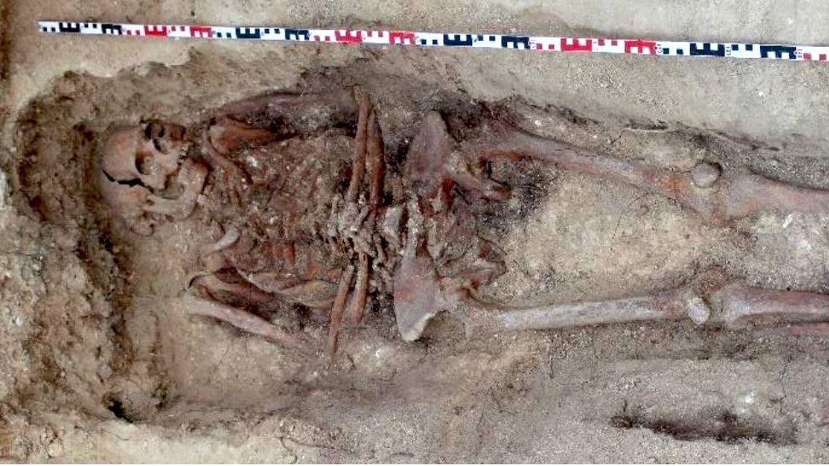 El Síndic investiga graves deficiencias en la exhumación de los restos de brigadistas internacionales en Benissa