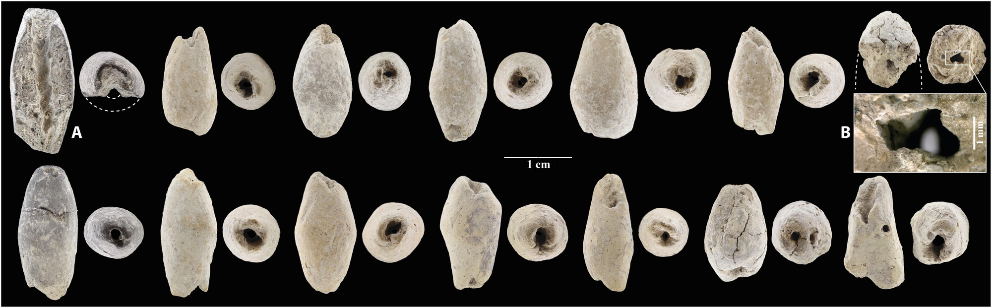 Las 14 cuentas elípticas medianas de arcilla