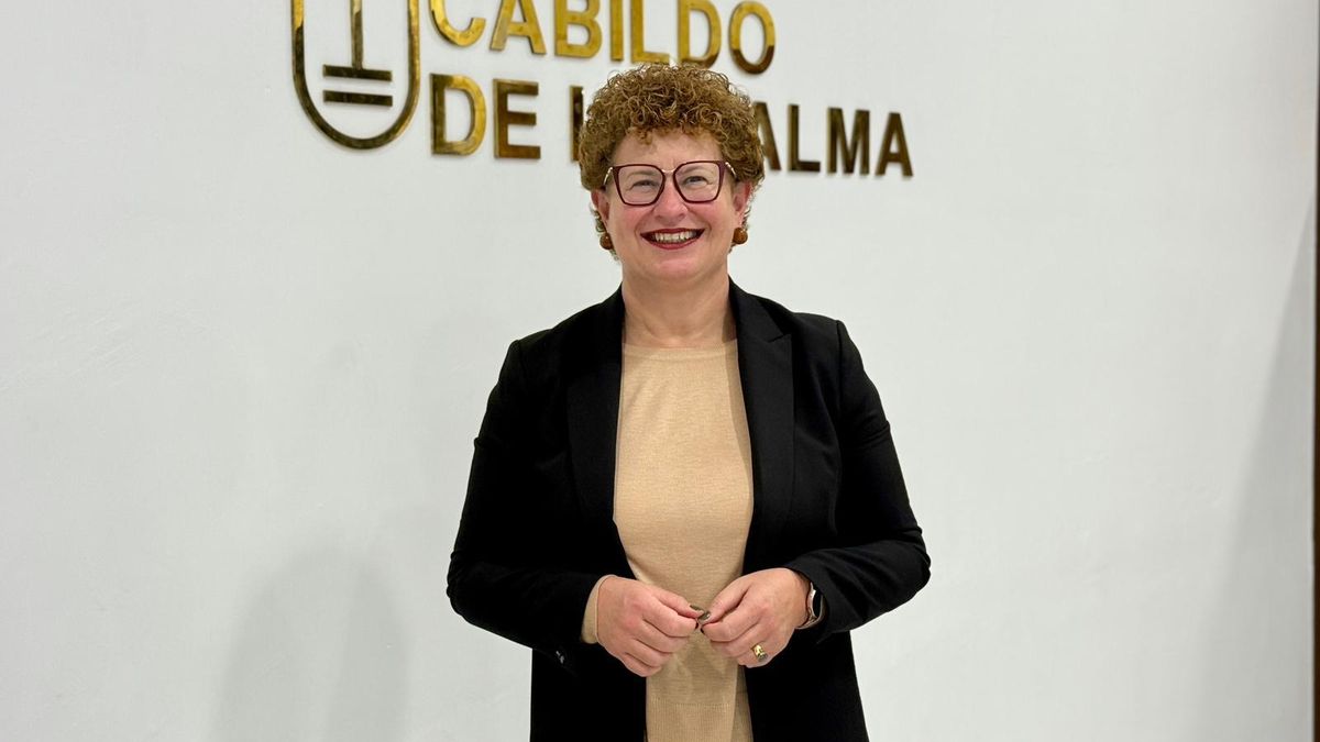 El PP propone una línea de ayudas para reparar los ascensores dañados en Puerto Naos