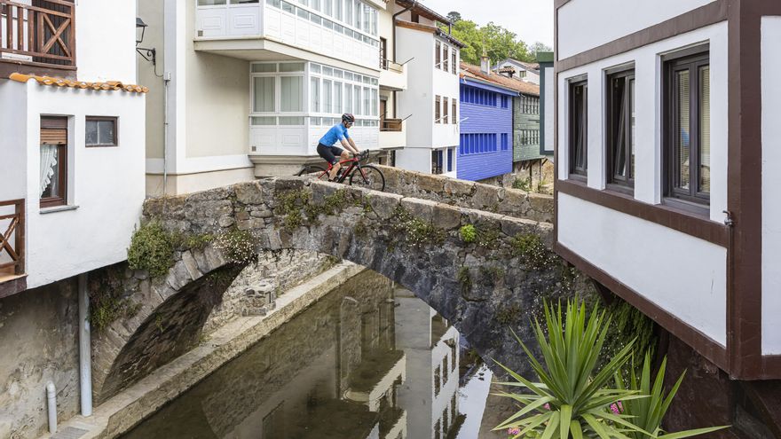 Bicidiversidad en el Urdaibai y la belleza de lo cotidiano