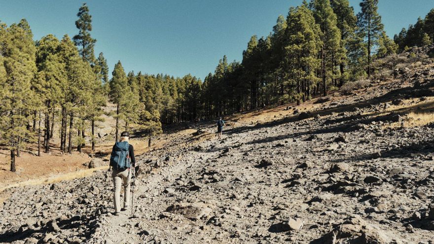 Gran Canaria, un viaje al corazón de la naturaleza