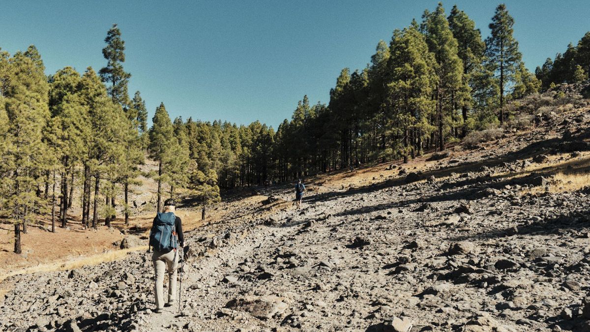 Gran Canaria, un viaje al corazón de la naturaleza