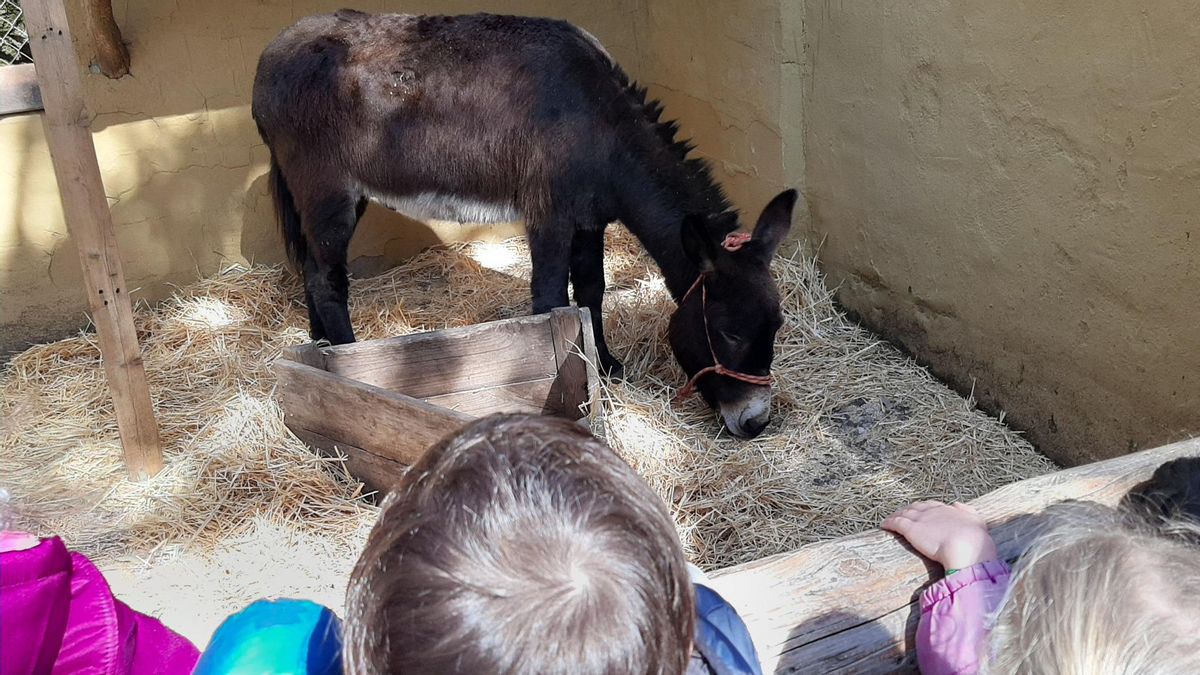 Imagen de una granja escuela.