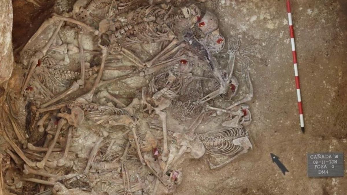 Restos óseos de personas localizados en una fosa común en Cañada Rosal.