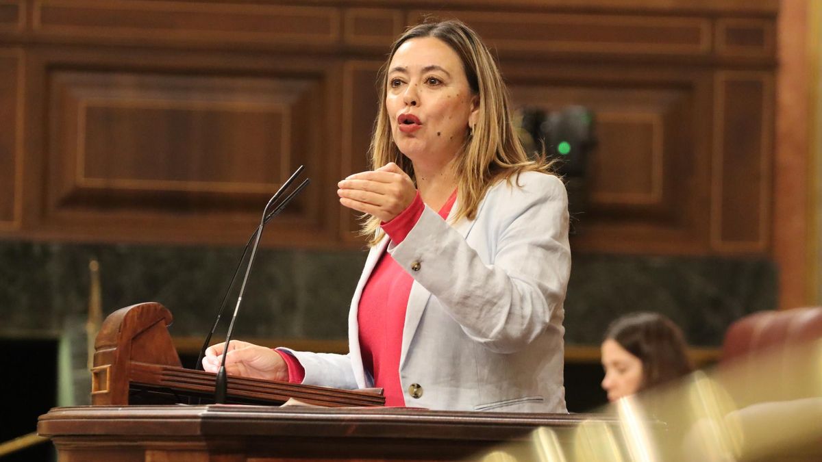 La diputada del PSOE Dolores Corujo.