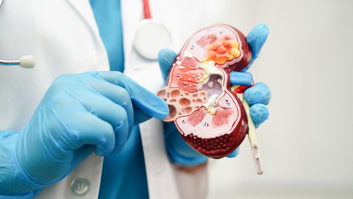 El carácter silencioso de la enfermedad renal crónica que precisa un diagnóstico precoz