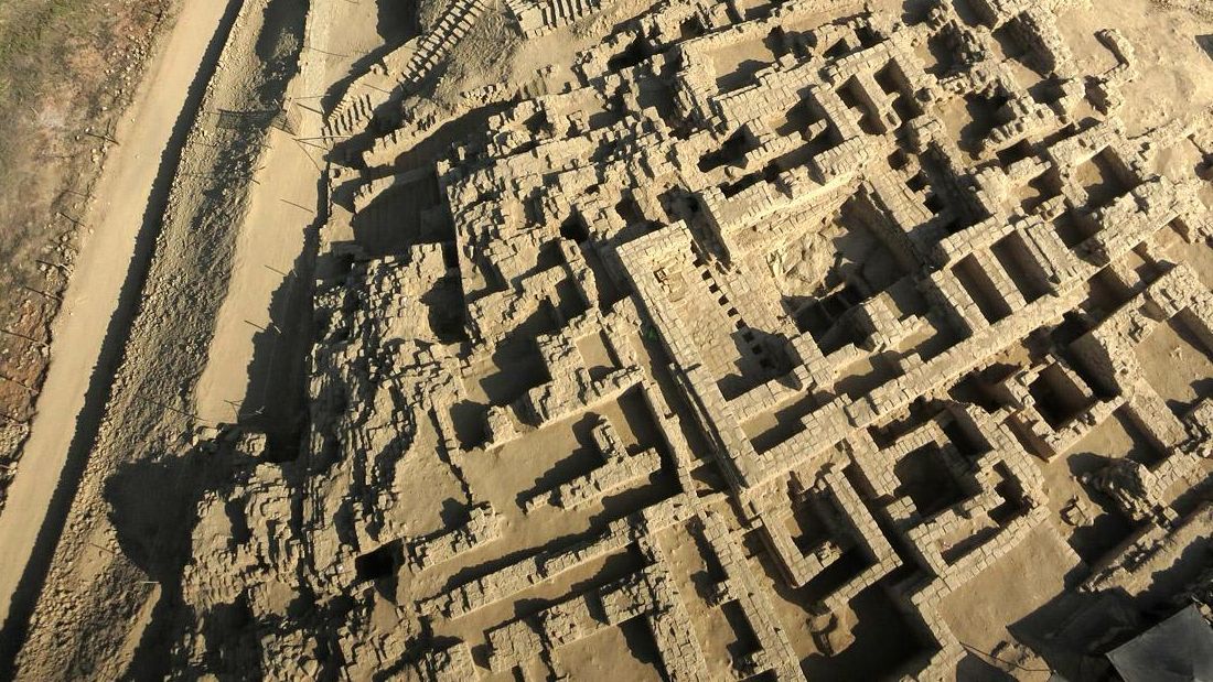 Un estudio revela la primera evidencia física de perros sin pelo en la cultura Wari, y sus funciones espirituales y sociales