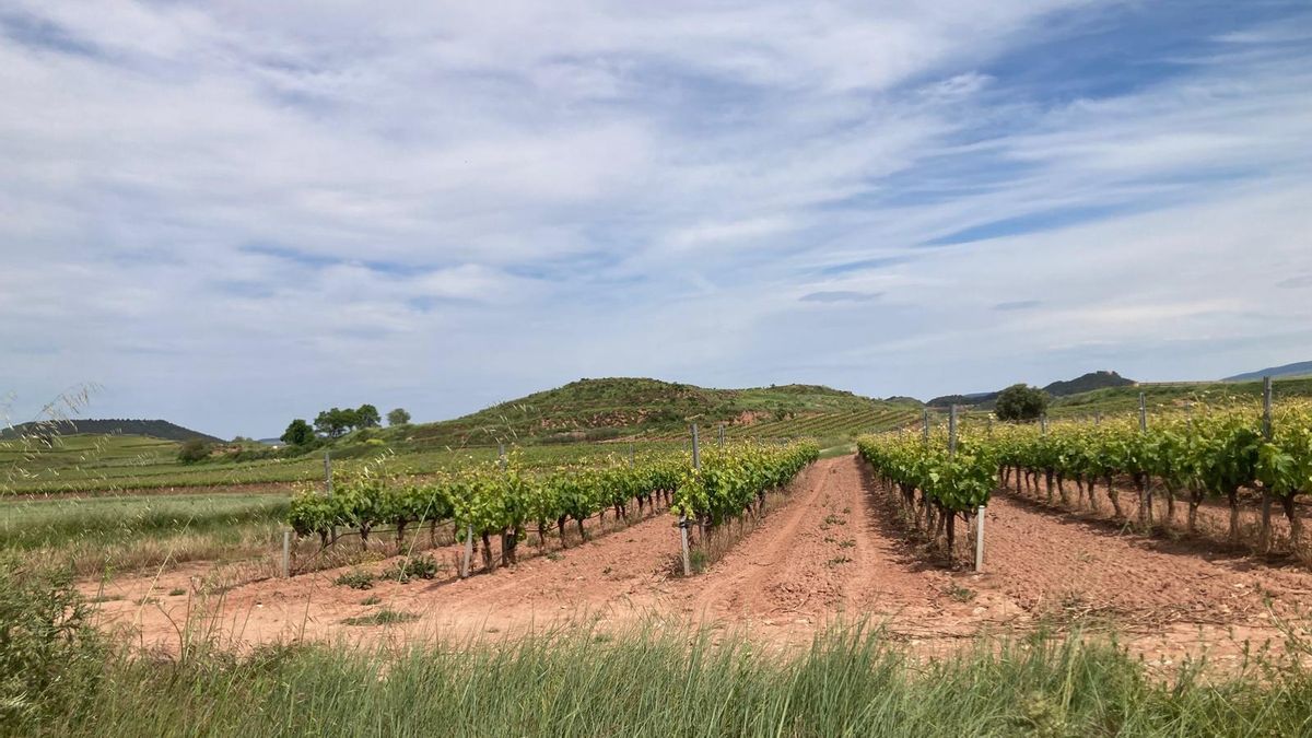 Fallece un hombre de 48 tras un accidente laboral hace dos semanas en Azofra