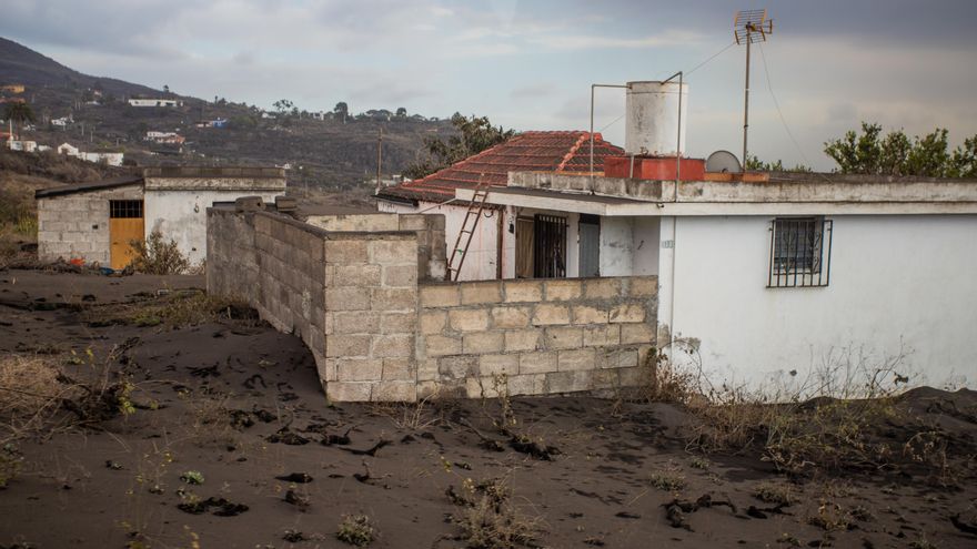 Viñas destrozadas por la ceniza en Todoque Alto