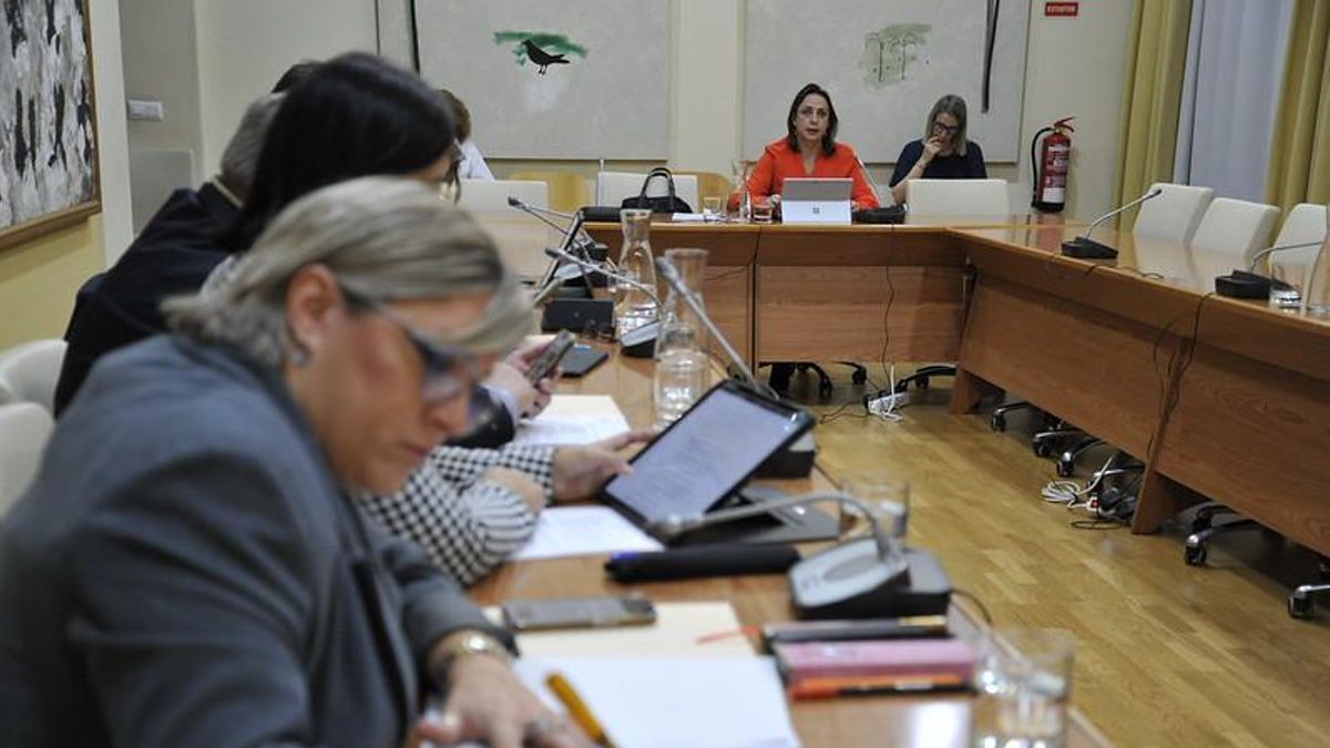 Los centros extremeños contra la violencia sexual atienden 33 urgencias en sus diez meses de vida