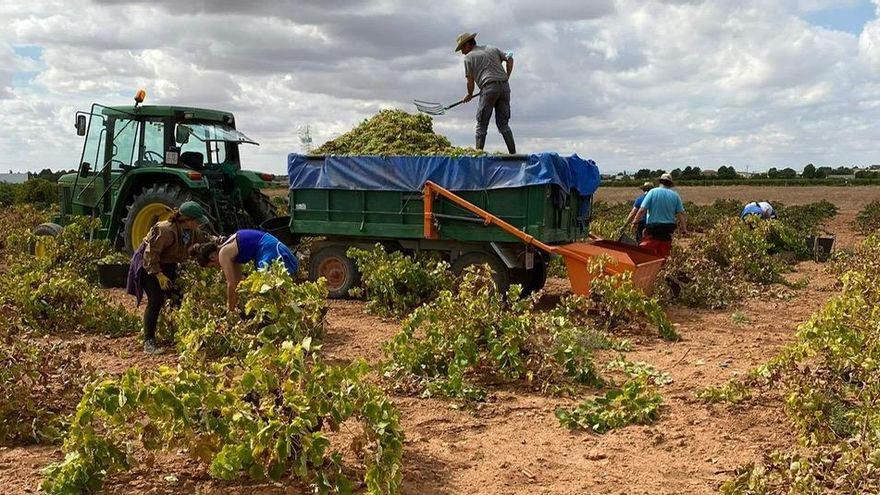 Un momento de la pasada vendimia