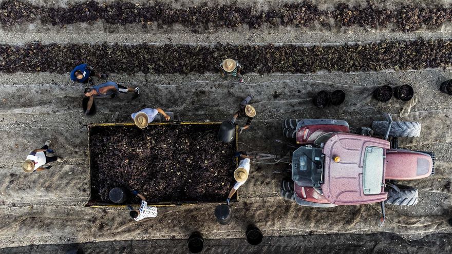 La pérdida de poder adquisitivo en España es inferior al 'mordisco' en las otras grandes economías europeas