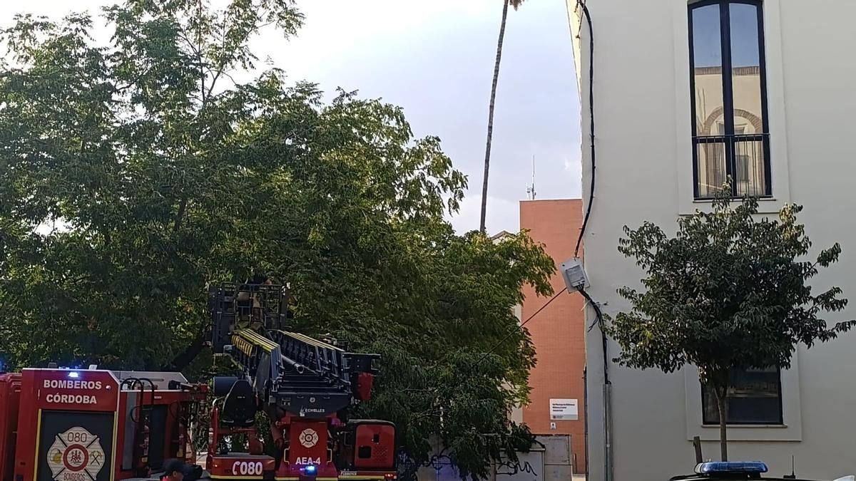 Los bomberos trabajando en la zona.