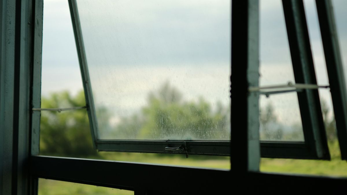 La técnica japonesa para acabar con la humedad en casa este otoño