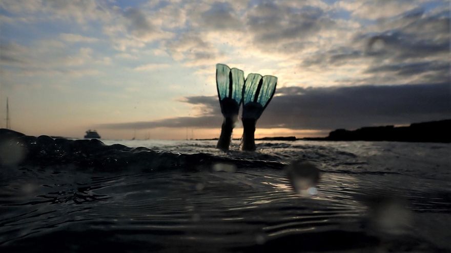 2025: por un mar lleno de vida