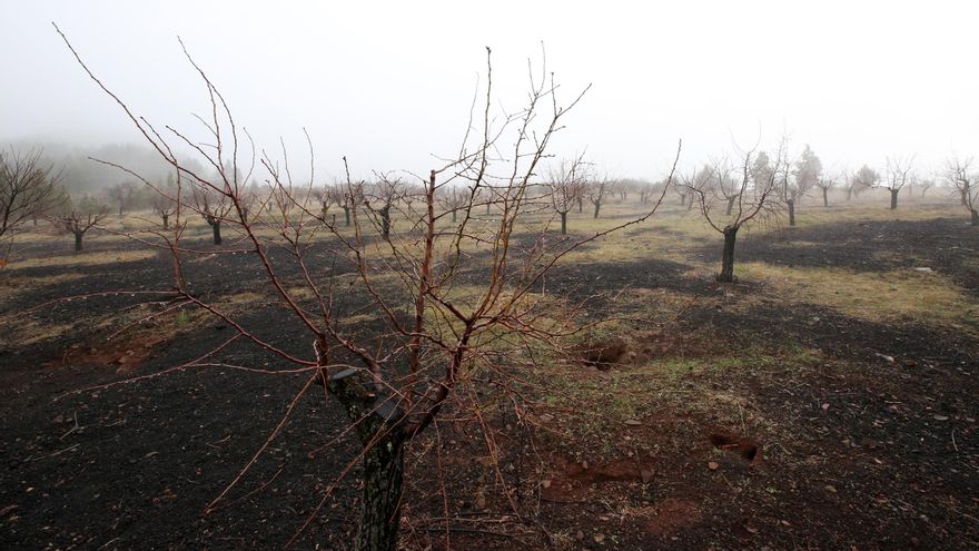 Llanos de La Pez y Pargana. (ALEJANDRO RAMOS)