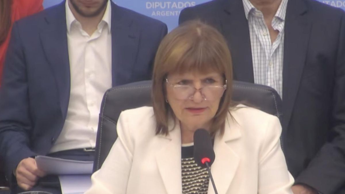 Fortalecida tras las elecciones, Bullrich defiende en Diputados el Presupuesto 2026 de Milei