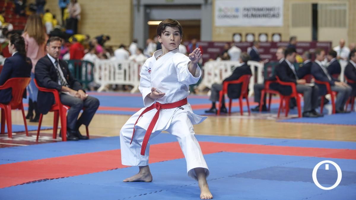 Campeonato de Andalucía Infantil y Juvenil de kárate
