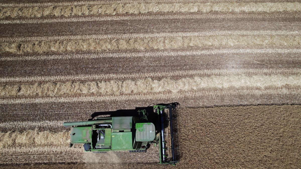 ¿Industrializar el campo?