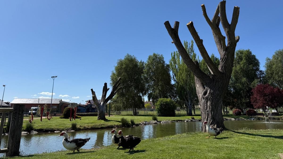 Imagen del conocido como Parque de los Patos de San Andrés del Rabanedo.