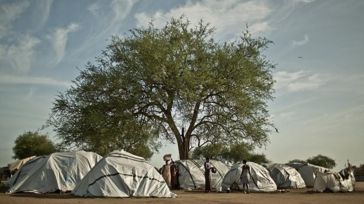 Fotogalería: Refugiados en sus propias tierras