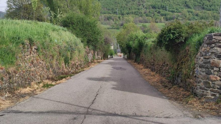 Más efectos del herbicida en los márgenes de la Avenida Constantino Gancedo de Villablino