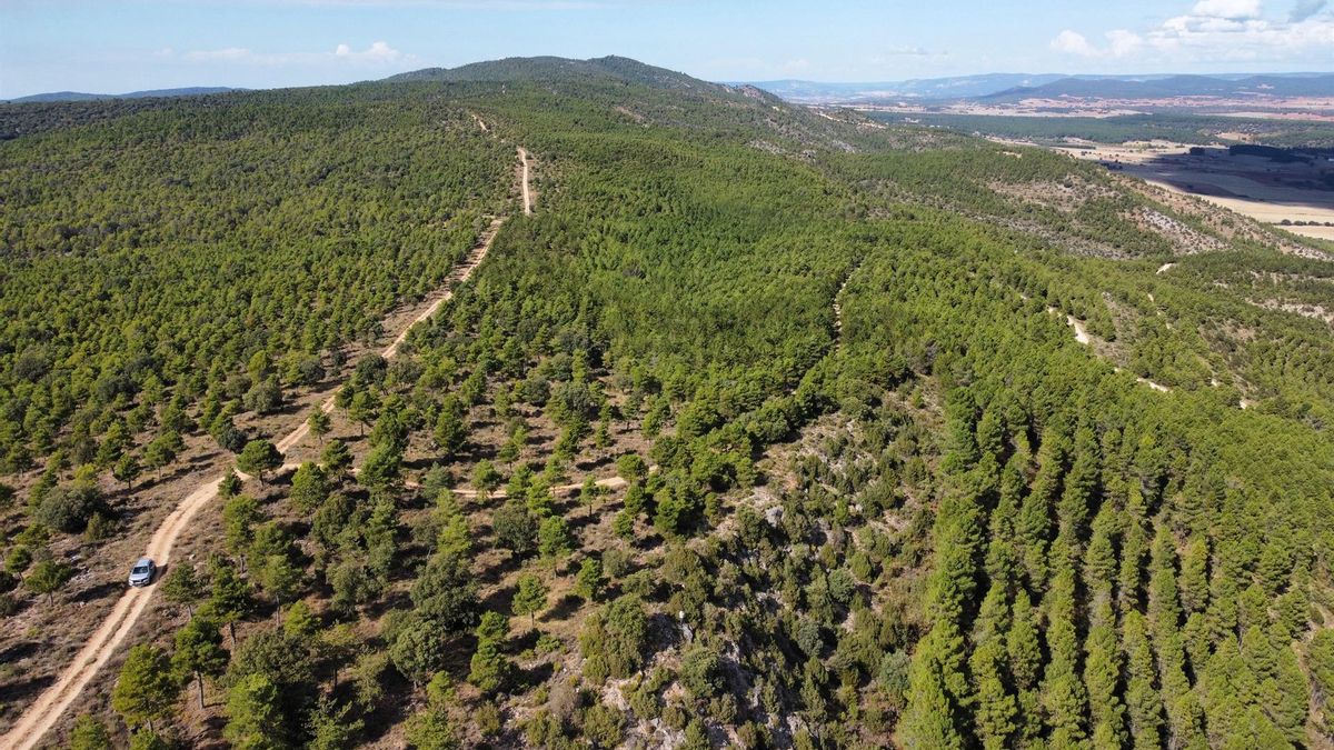 Toroverde busca ya pasar el trámite ciudadano y ambiental para abrir un parque de aventuras en Cuenca