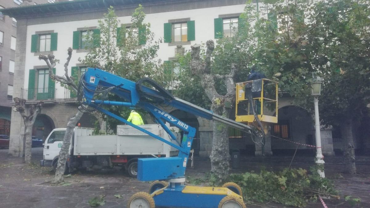 Poda de árboles en Castro Urdiales.