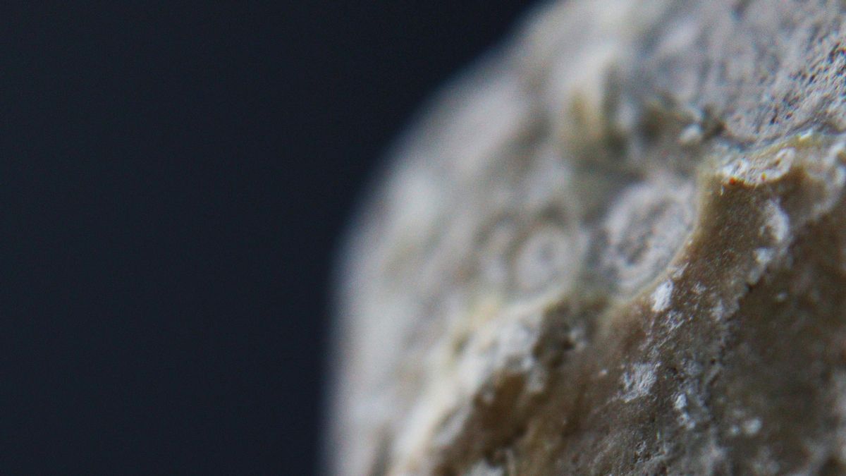 Descubren un insulto de hace 2.000 años grabado en una bala de honda romana