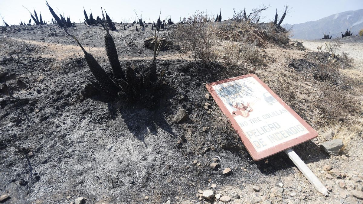 Parajes quemados en el que los medios aéreos y terrestres continúan este sábado luchando contra el incendio en Sierra Bermeja, que se declaró este pasado miércoles y sigue activo.
