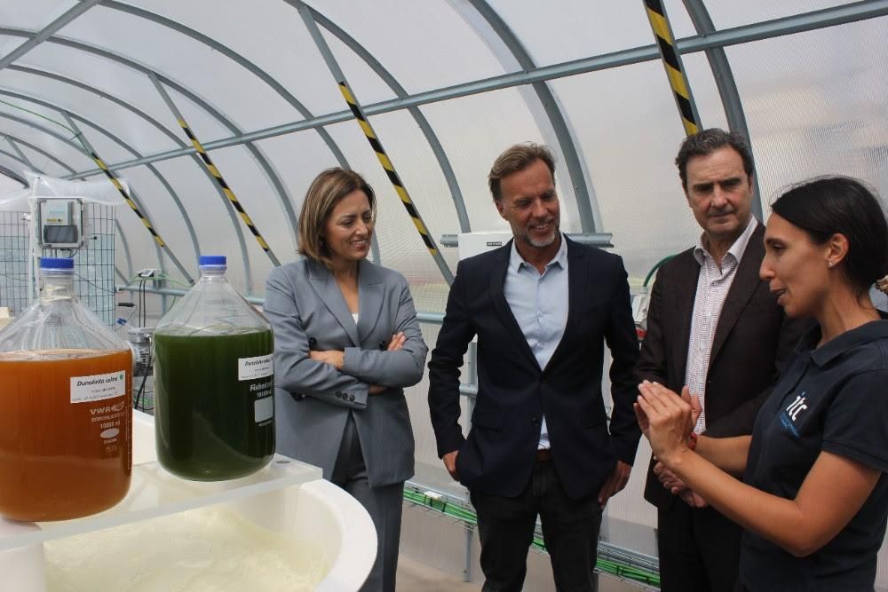 El ITC y Endesa trabajan en un proyecto pionero para la captura de CO2 con microalgas en la central de Tirajana.