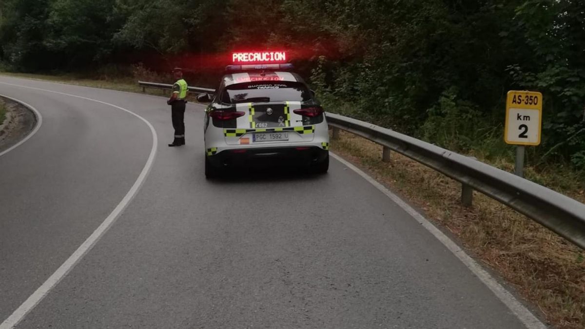 Agentes durante el accidente ocurrido en Tineo.