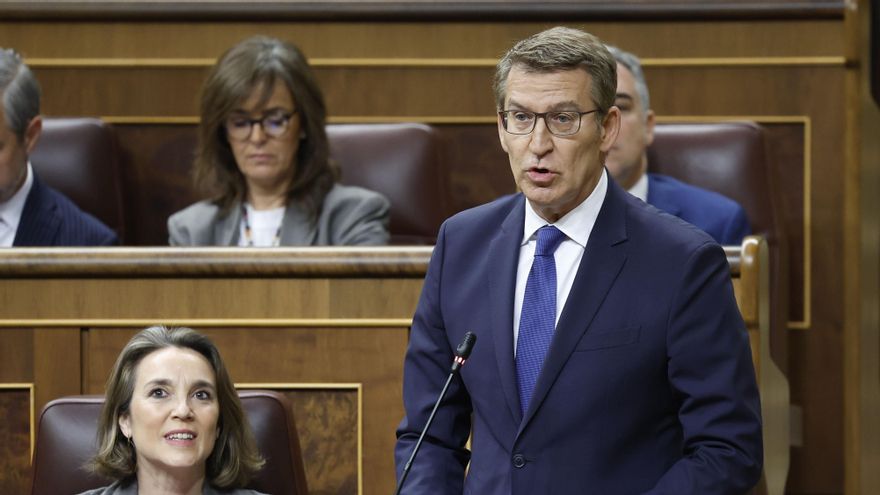 El presidente del PP, Alberto Núñez Feijóo, interviene durante la sesión de control al Gobierno celebrada este miércoles en el Congreso. EFE/Chema Moya