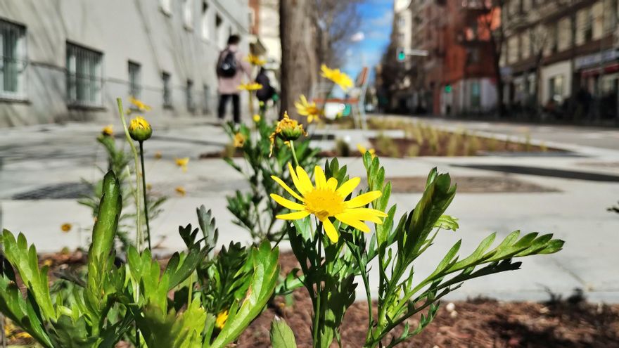 El colegio de Chamberí que gana aceras, jardines y una peatonalización quitando una fila de coches
