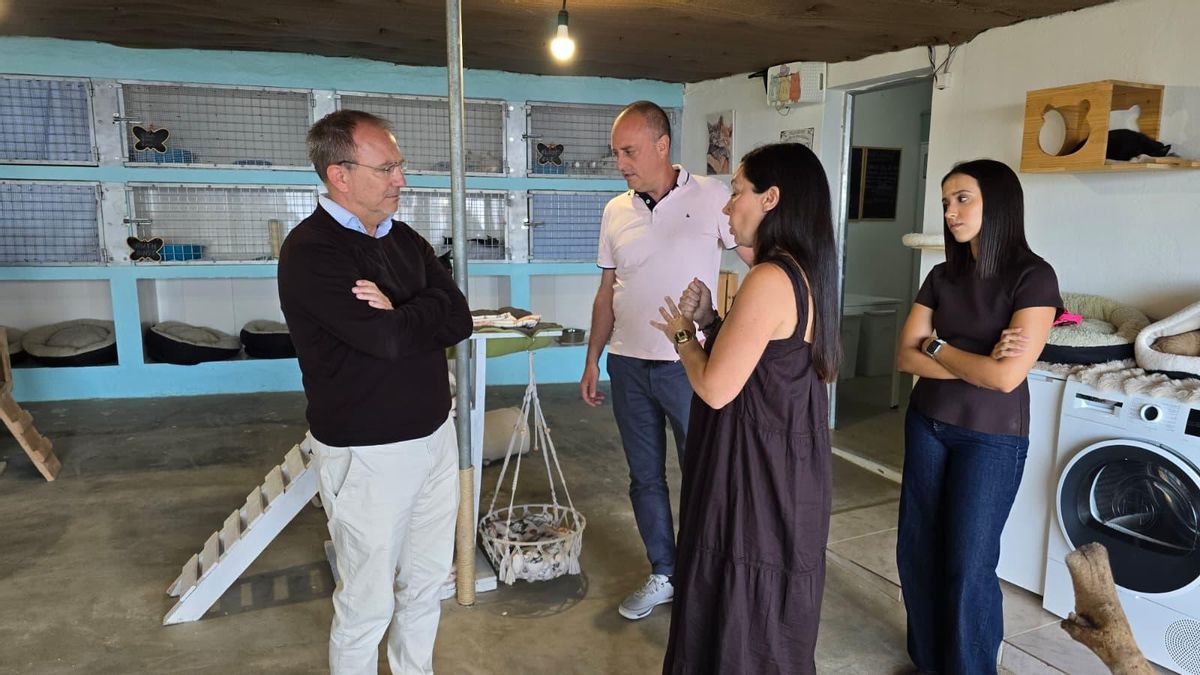 El Cabildo apoya un proyecto pionero de protección de gatos abandonados de La Palma liderado por la protectora Biampa