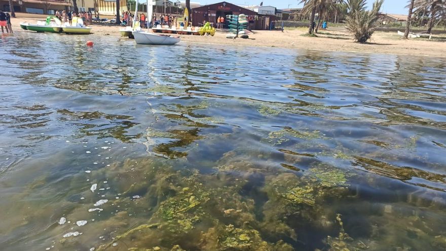 Un grupo de personas espera para poder practicar deportes acuáticos