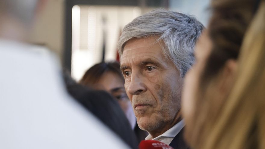 El ministro del Interior, Fernando Grande-Marlaska, en una imagen de archivo. EFE/ Marcos Villaoslada