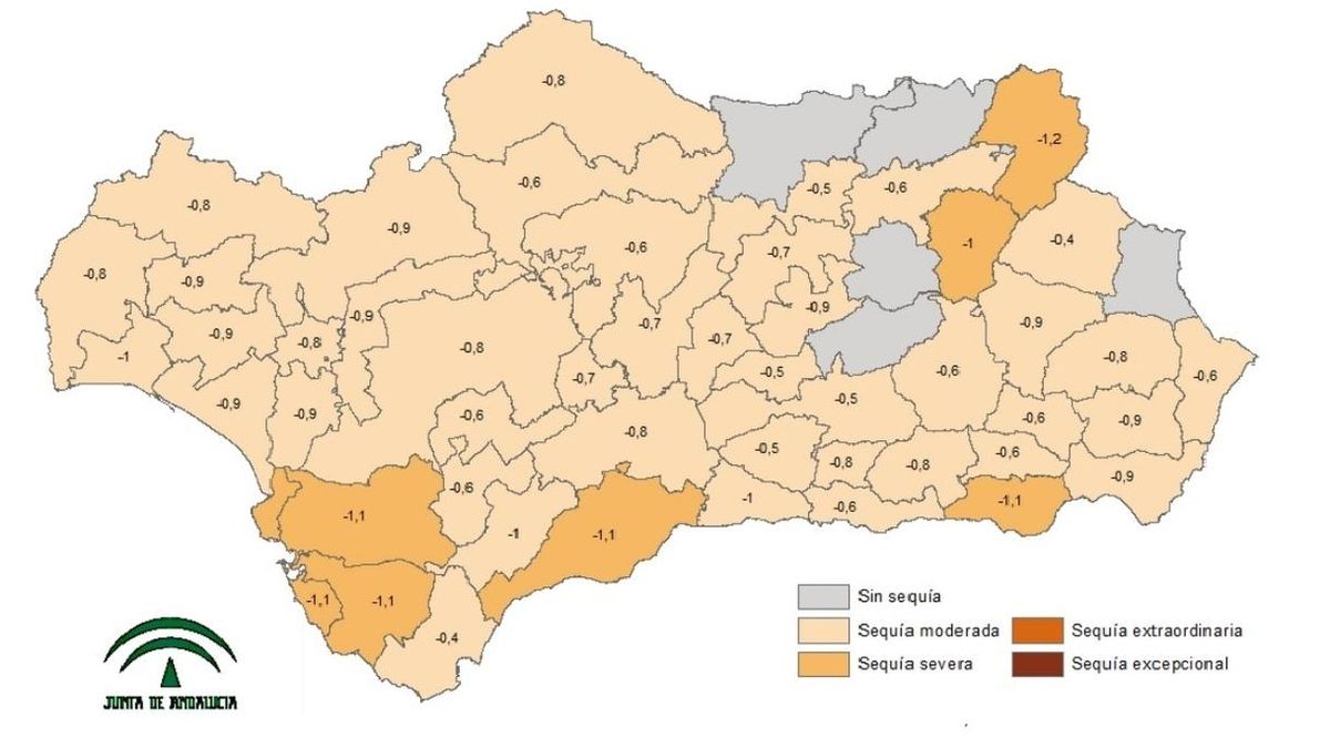 Andalucía pierde un 15,56% de agua en un año y tiene siete comarcas agrarias en sequía meteorológica severa