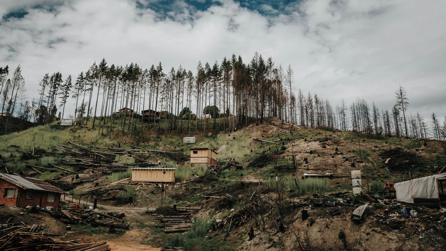 El fuego destruyó miles de hectáreas en la Patagonia.