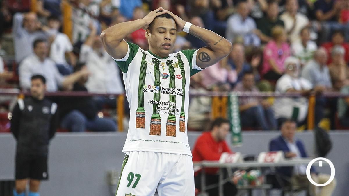 Córdoba Patrimonio - Ribera Navarra