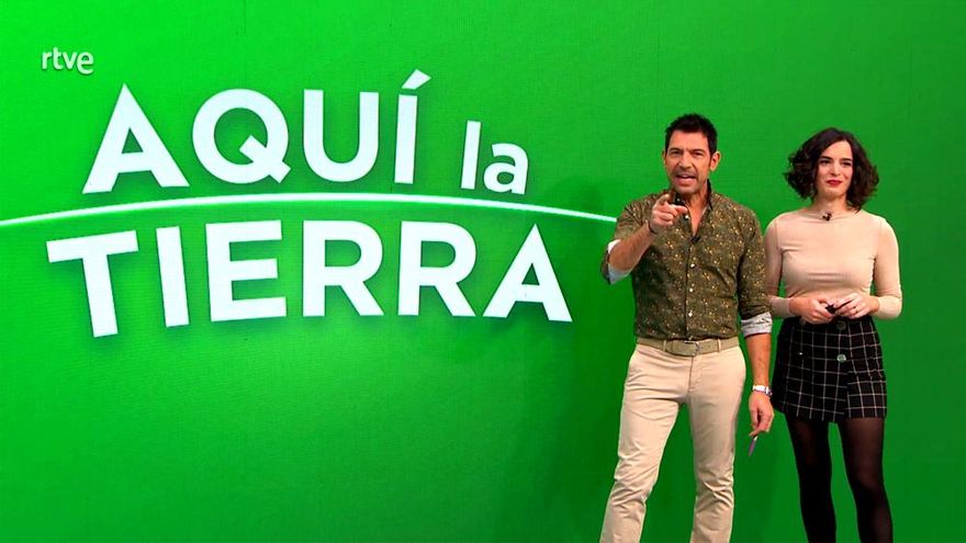 'Aquí la tierra' (11.6%) es la única oferta de la tarde dominical que llega al doble dígito gracias a su fiabilidad y brevedad