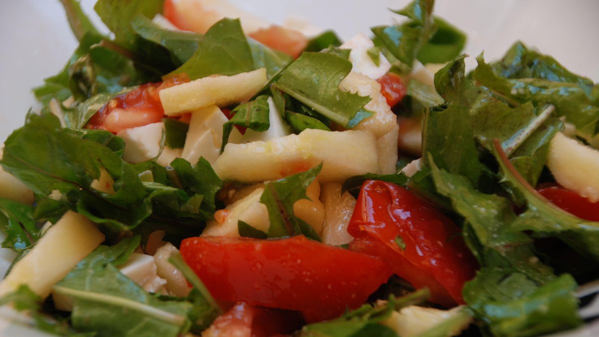 Ensalada de diente de león