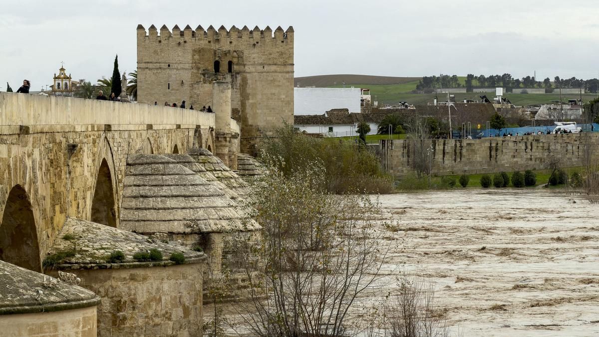 Crecida del río Guadalquivir tras el paso de la borrasca Kristin, este miércoles en Córdoba.
