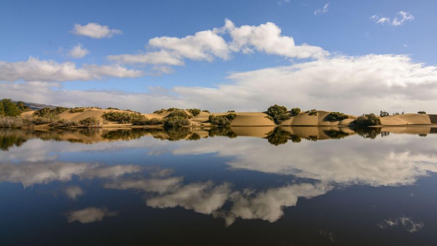 Charca de Maspalomas