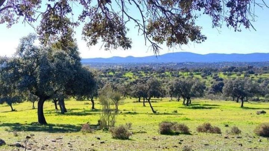Impacto de los cambios de la PAC en el campo español