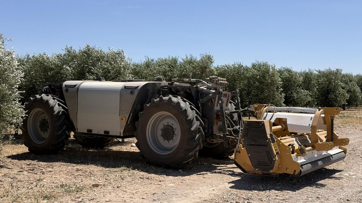 Tractor eléctrico autónomo en una finca de olivar intensivo.