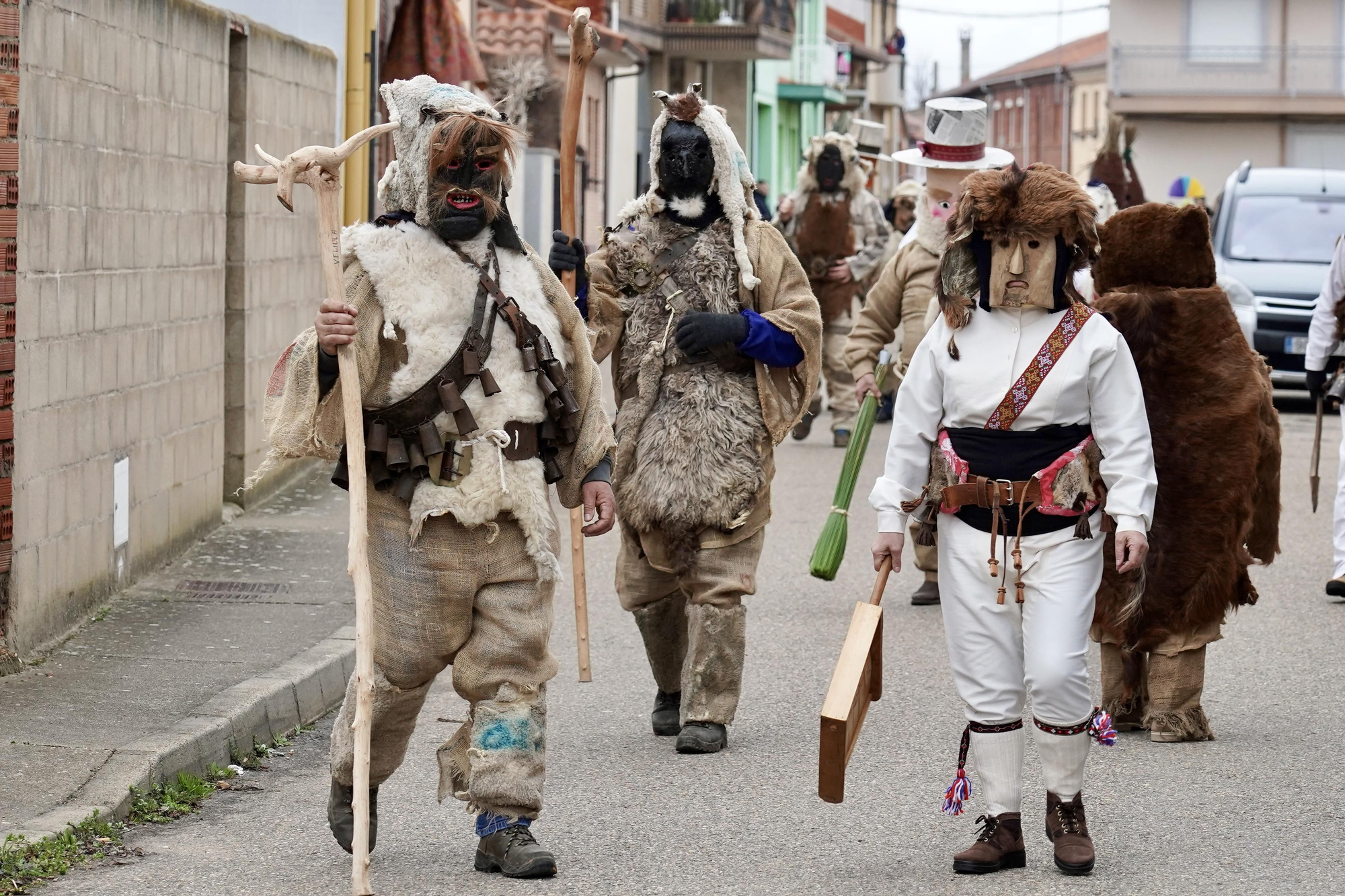 Toros y guirrios del antruejo en Velilla de la Reina