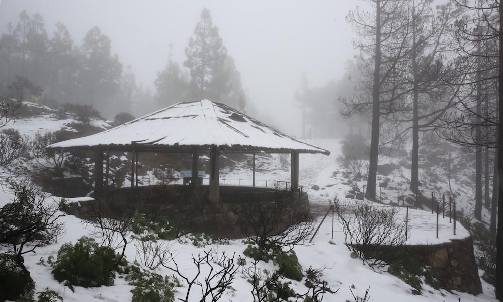 Cumbre grancanaria (31/01/2018)